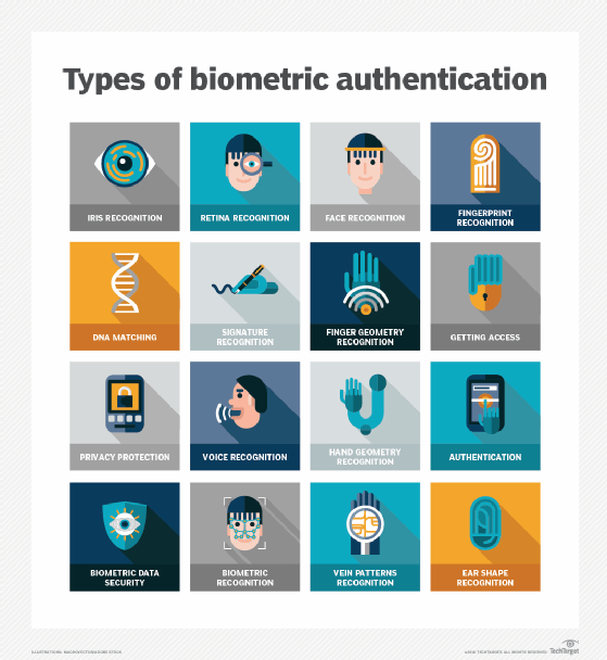 What Are Biometric Payments & How Do They Work?